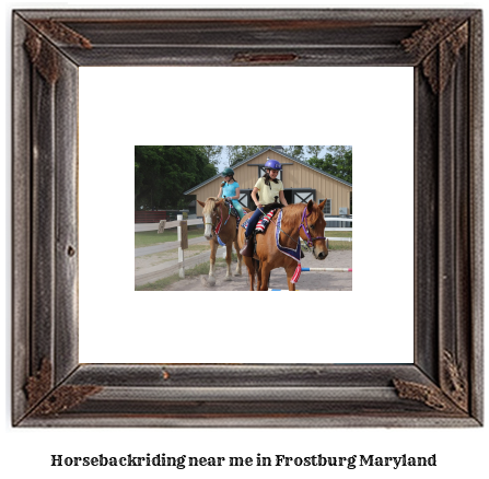 horseback riding near me in Frostburg, Maryland